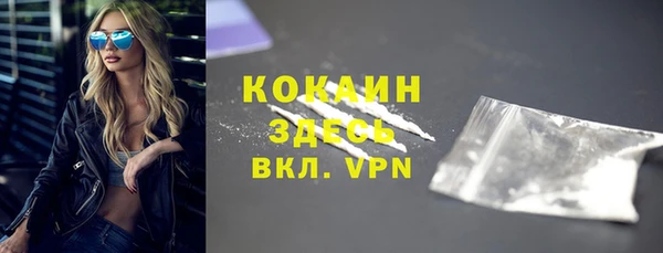 ешки Бронницы