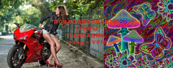ешки Бронницы