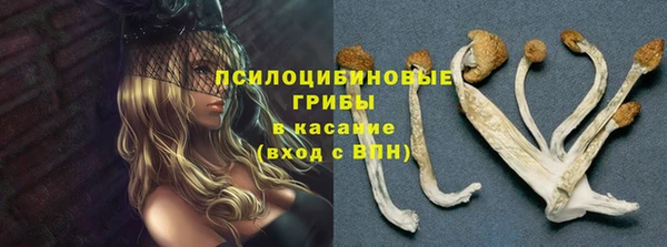 MESCALINE Беломорск
