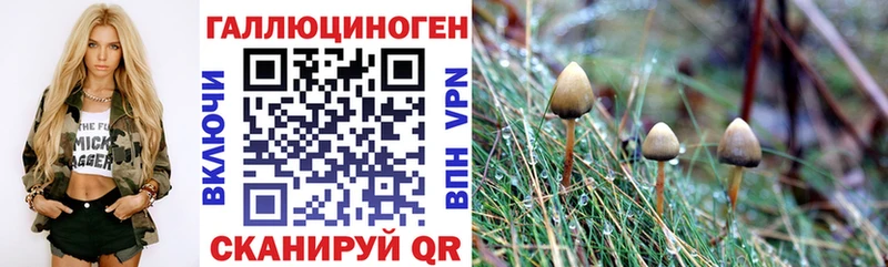 Псилоцибиновые грибы Psilocybe  Дмитриев 